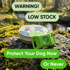 Nirex - 12 Months Tick & Flea Prevention