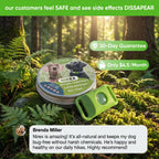 Nirex - 12 Months Tick & Flea Prevention