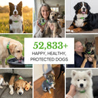 Nirex - 12 Months Tick & Flea Prevention
